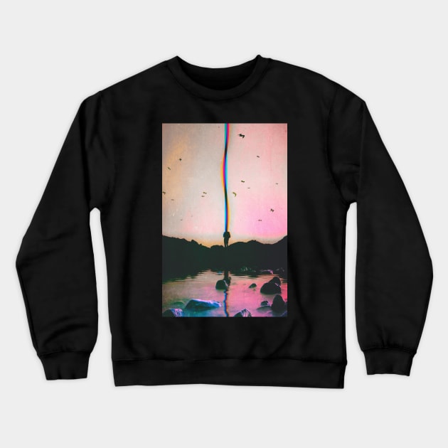 The Envious Flyer Crewneck Sweatshirt by SeamlessOo